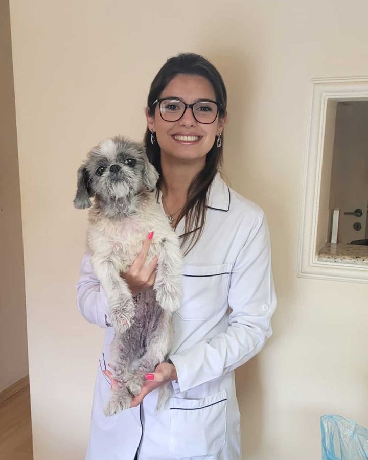 M.V. Priscilla Bolt segurando um cão Shih Tzu