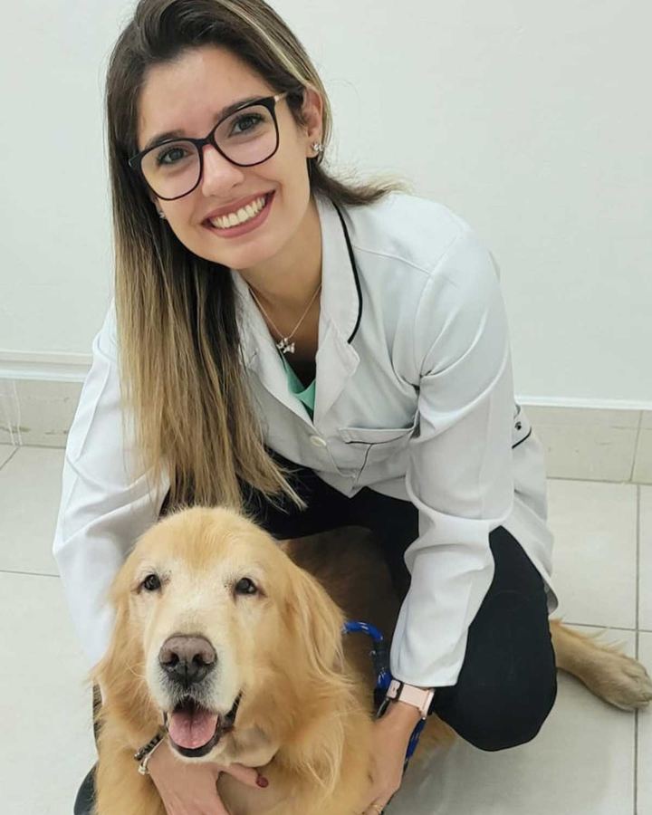 Bartolomeu, Golden Retriever, 13 anos — paciente da Bolt Vet Care