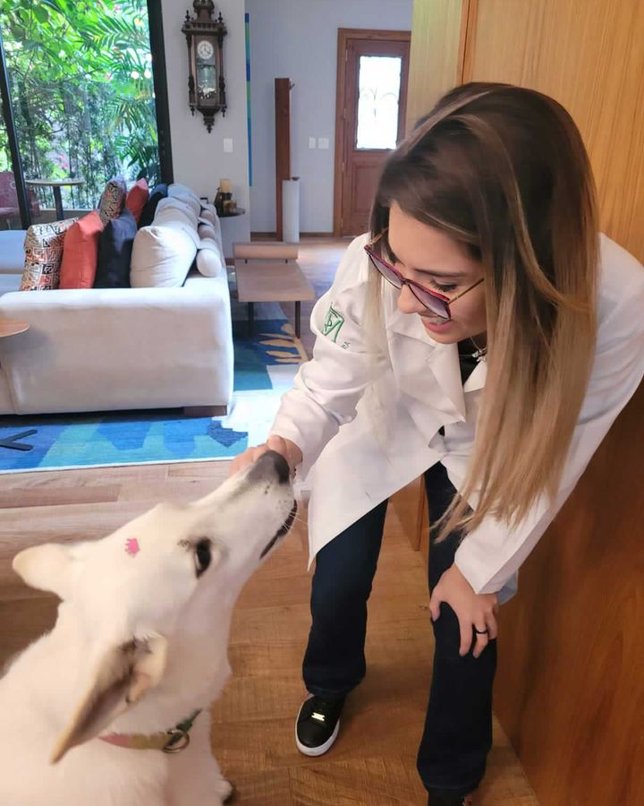 Beta, Pastor Branco Suíço, 5 anos — paciente da Bolt Vet Care
