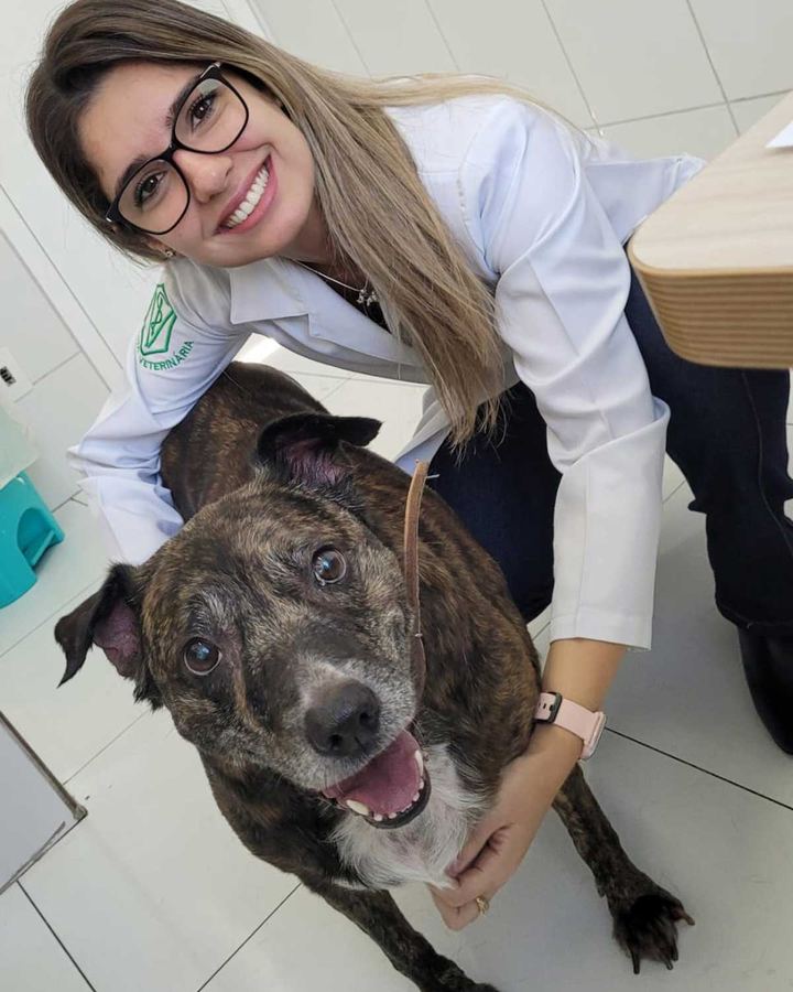 Jully, SRD, 14 anos — paciente da Bolt Vet Care
