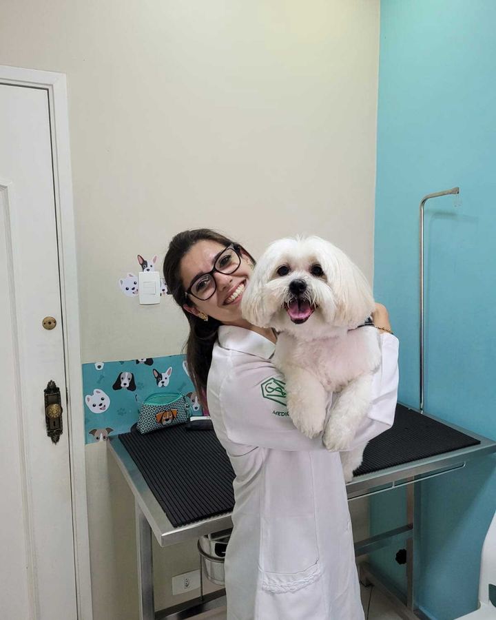 Marley, Lhasa Apso, 8 anos — paciente da Bolt Vet Care