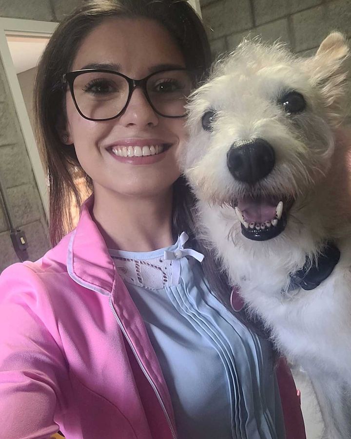 Phoebe, SRD, 5 anos — paciente da Bolt Vet Care