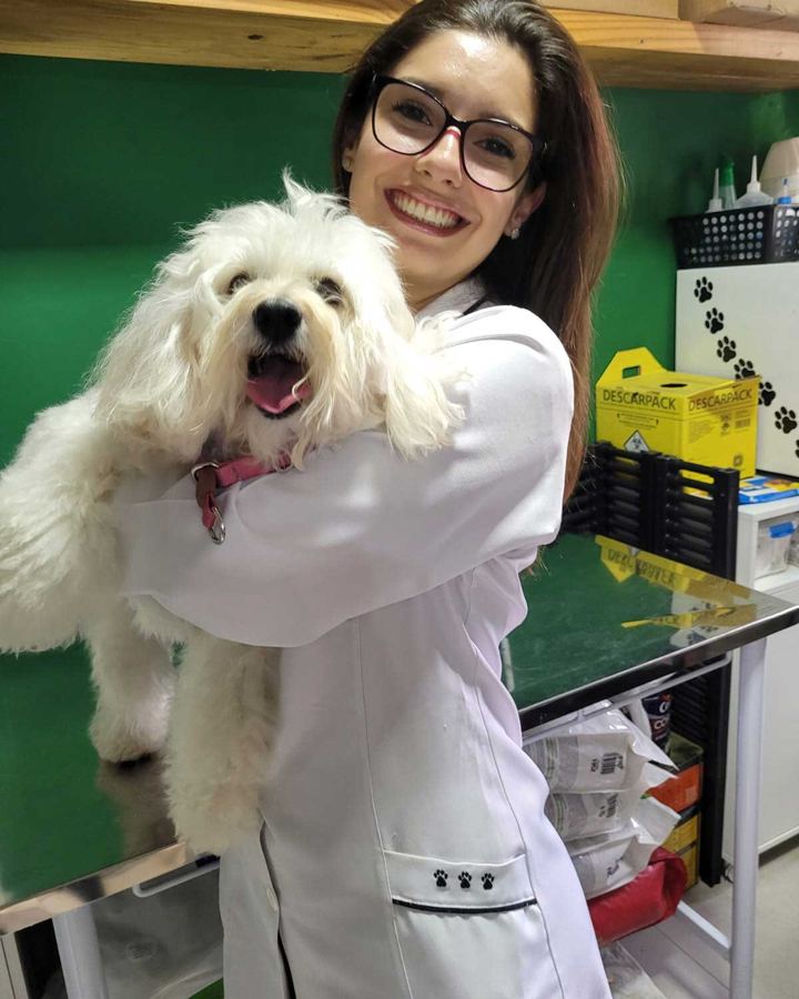 Theo, SRD, 3 anos — paciente da Bolt Vet Care